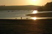 Evening at Porthilley.