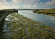 Salt marsh pools