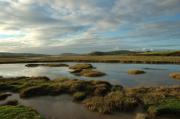 Trewornan marshes