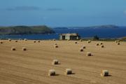 Pentire Farm to Stepper and Trevose