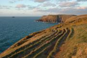 Toward Stepper point from Crugmeer.