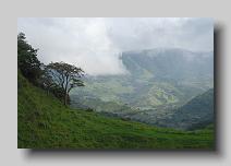 Monteverde Cloud Forest