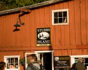 Stubbs Island whale watching tours out of Telegraph Cove.