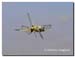 4-spot-chaser_01