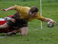 camels rugby
